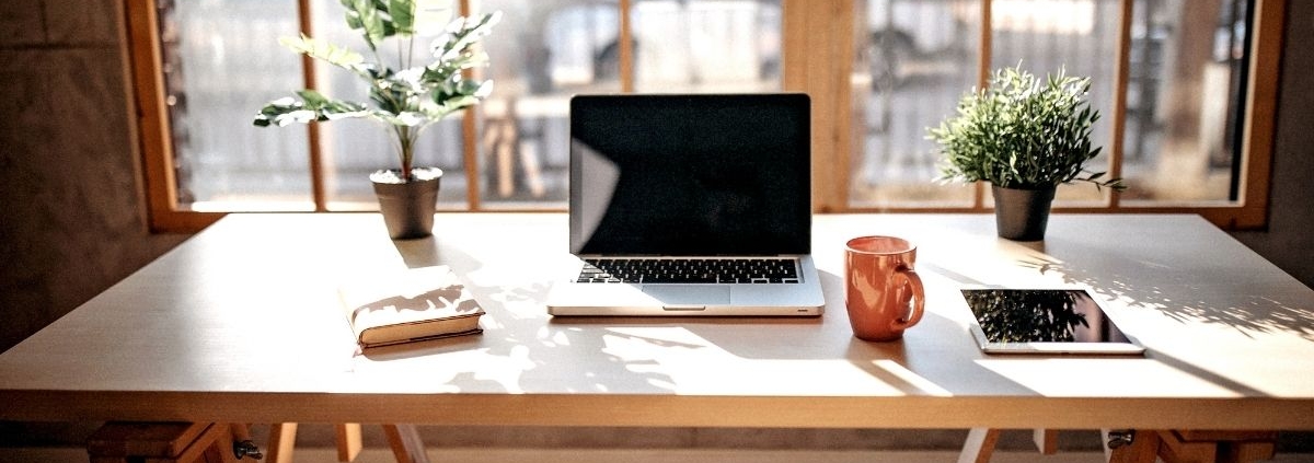 OECD News zu Homeoffice & Betriebsstätte